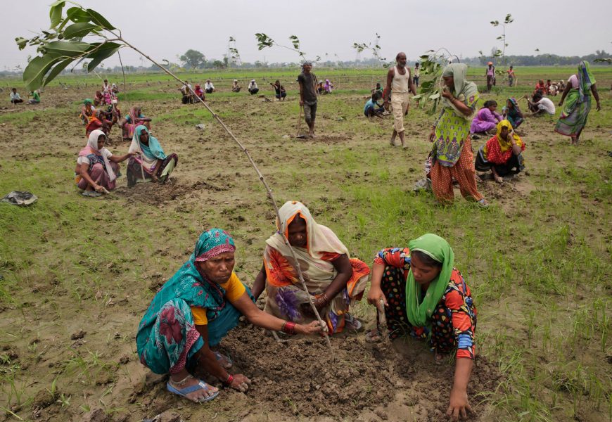 India Plants 66 Million Trees in 12 Hours – New Record to Meet Paris Agreement