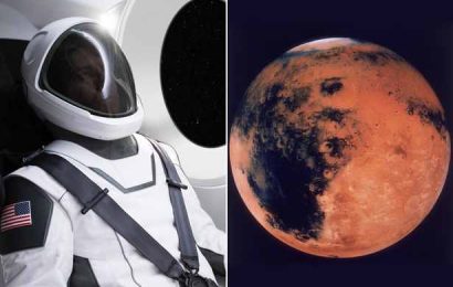 SpaceX Shares First Image of the Future Elon Musk Spacewear