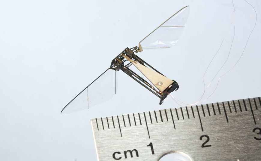 Harvard’s Upgraded RoboBee Can Fly In and Out of Water