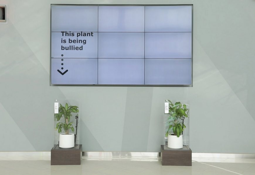 The results of Ikea’s ‘bullied’ plant experiment – what scientists say