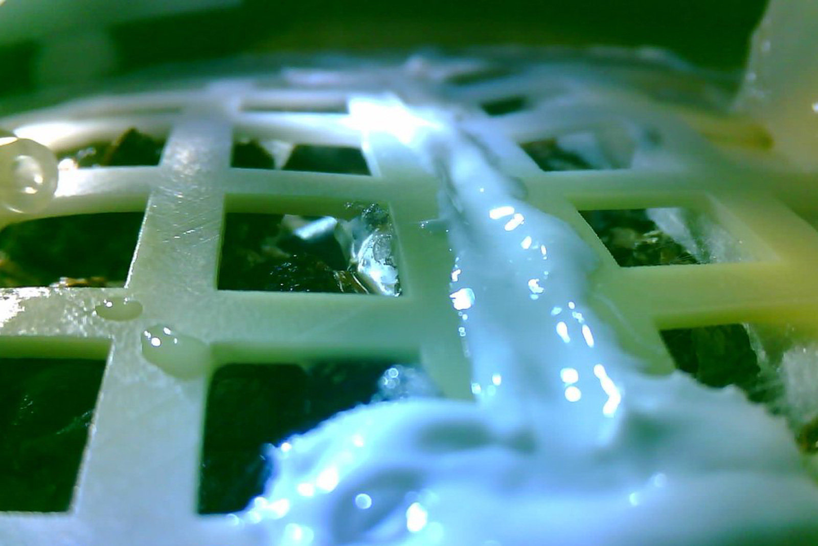 China grows the first plants on the Moon