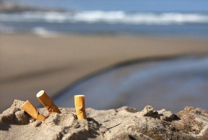 Cigarette Filters Are The Most Littered and Most Pollutant Plastic
