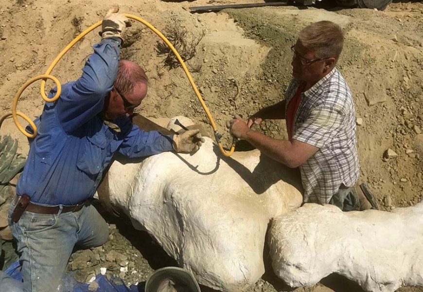 British Scientists Are Joining “Mission Jurassic” in Wyoming Dinosaur Hunt