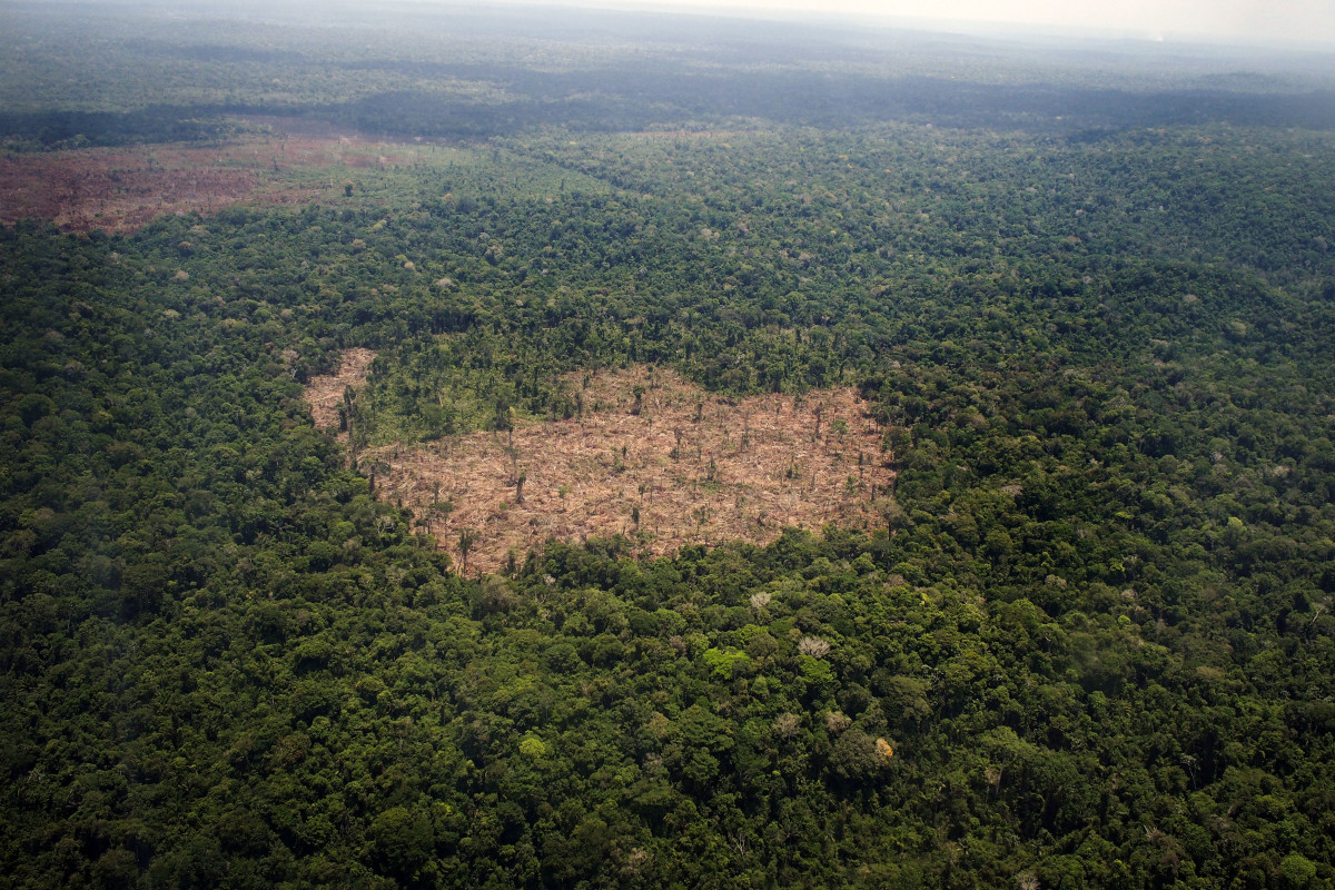Deforestation of the Brazilian Amazon Has Reached New Records