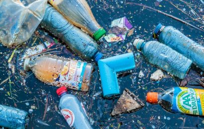 Students Invent Bacteria That Eat Plastic From The Oceans And Turn It Into Water