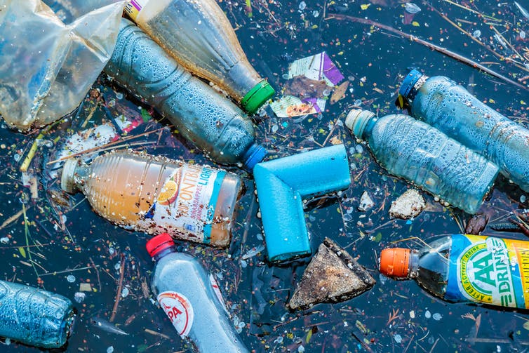 Students Invent Bacteria That Eat Plastic From The Oceans And Turn It Into Water