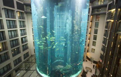 Huge aquarium bursts, spilling 1 million litres of water and 1500 fishes