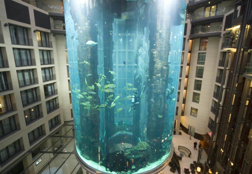 Huge aquarium bursts, spilling 1 million litres of water and 1500 fishes